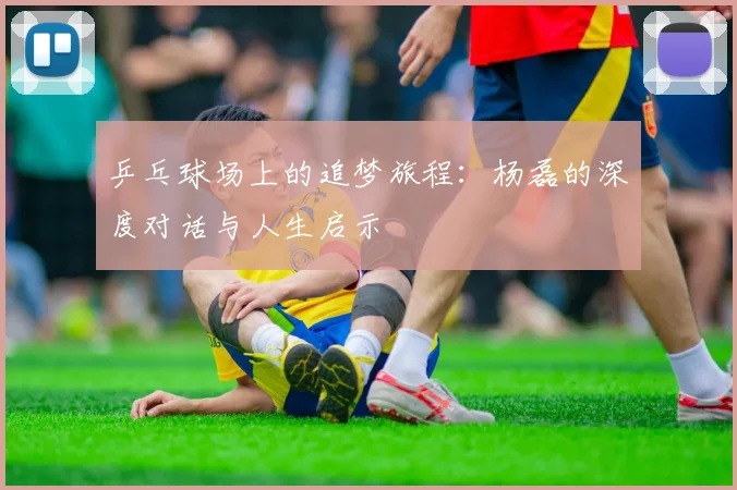 乒乓球场上的追梦旅程：杨磊的深度对话与人生启示