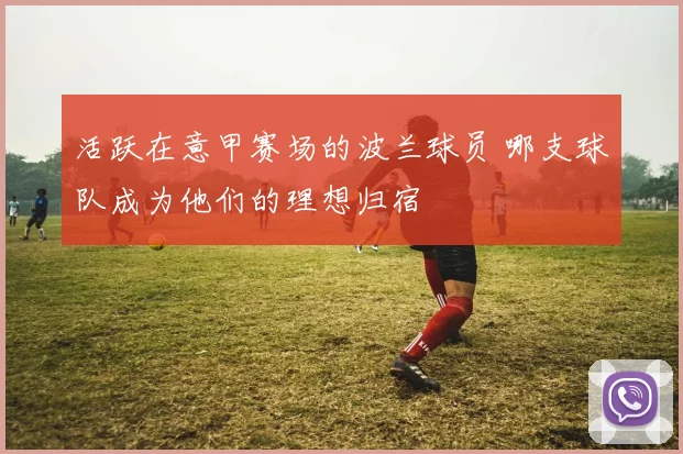 活跃在意甲赛场的波兰球员 哪支球队成为他们的理想归宿